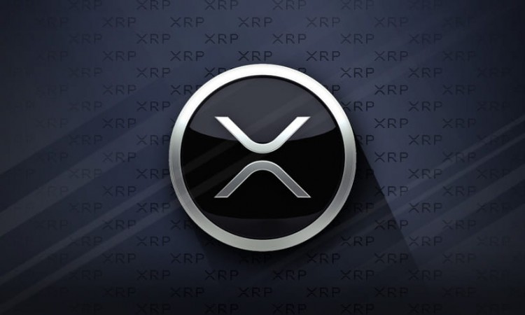 XRP 社区警报：Evernode 空投问题