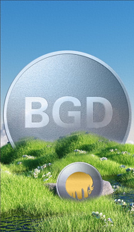在中国，BGD贝尔格莱德币“比特币：现状、挑战和未来前景”
