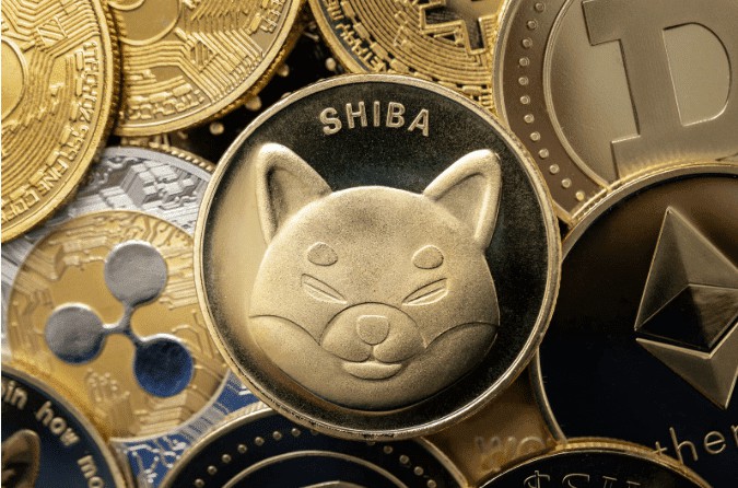 加密货币市场的崩溃:shiba币在2024年能否达到1美元?
